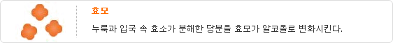 효모-누룩과 입국 속 효소가 분해한 당분을 효모가 알코올로 변화시킨다.