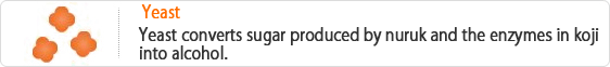 Yeast-Yeast converts sugar produced by nuruk and the enzymes in koji into alcohol..