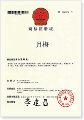 中国特許第7905778号